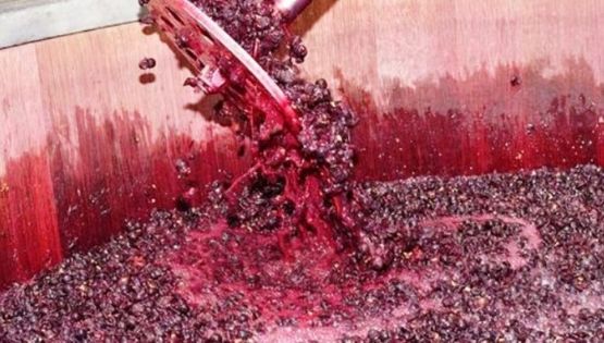 Mendoza y San Juan acordaron destinar un 12% de uva para mosto y otros subproductos