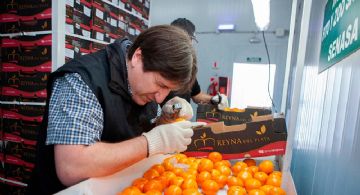 Acuerdan medidas para garantizar el ingreso de cítricos a la provincia