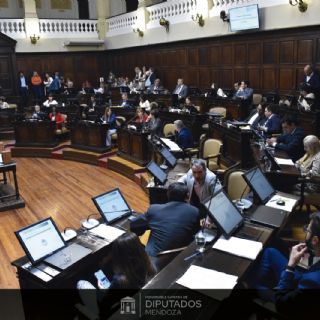Entidades manifiestan preocupación por el proyecto mendocino sobre los mapuches