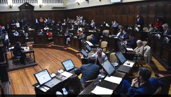 Entidades manifiestan preocupación por el proyecto mendocino sobre los mapuches
