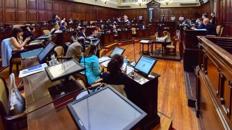 Qué dice el proyecto aprobado por la Legislatura de Mendoza sobre los mapuches