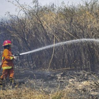 Mendoza registra focos de incendios forestales activos