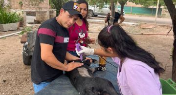 San Martín continúa su cronograma de castración de mascotas