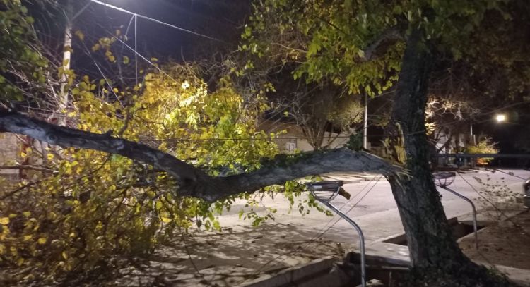 Varias zonas afectadas por las severas ráfagas de Zonda en la provincia