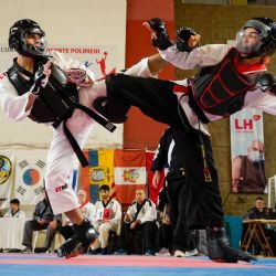 Mendoza fue sede del Campeonato Panamericano de Taekwondo