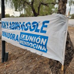 Un partido político fue multado por "vandalizar" un forestal del Parque General San Martín
