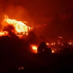 Boric confirma 46 muertos por incendios forestales en Valparaíso
