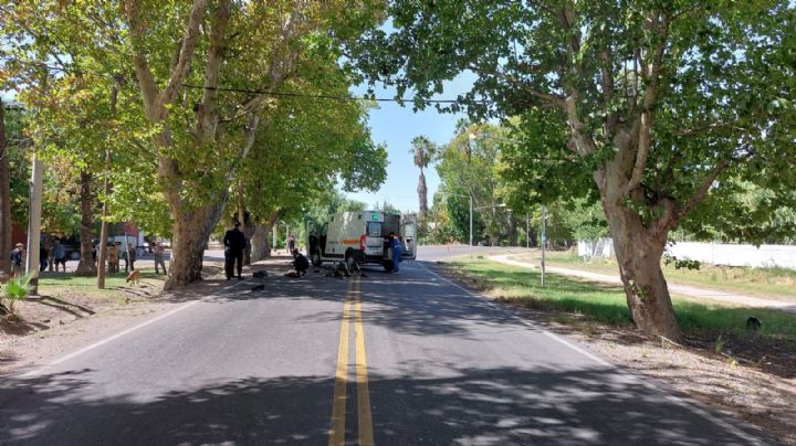 Un motociclista falleció tras impactar contra un árbol en San Rafael